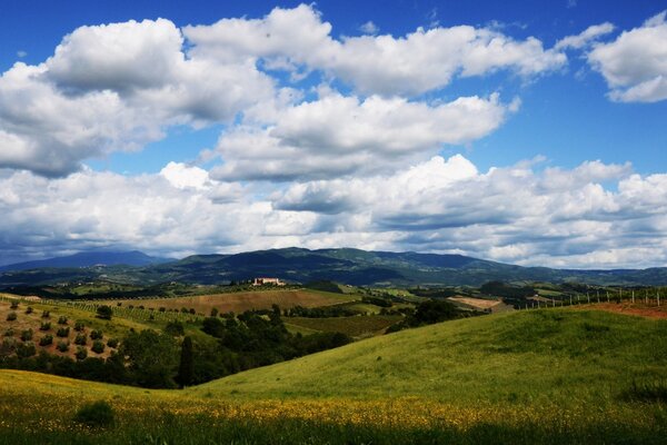 Літній сільський пейзаж з пагорбами