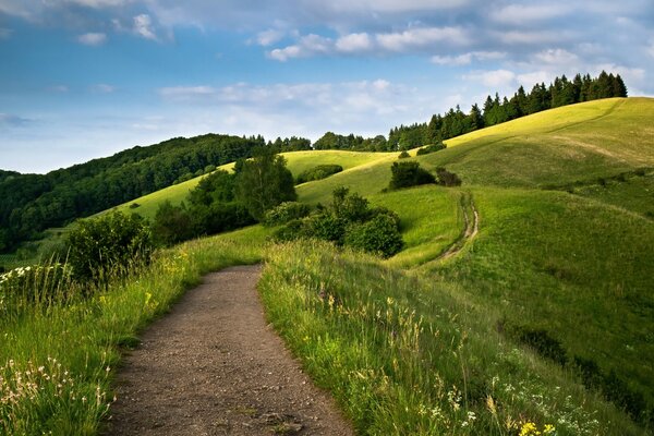 Beautiful green hilly terrain