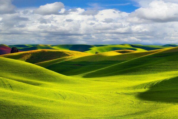 Des prairies et des champs sans fin nous entourent