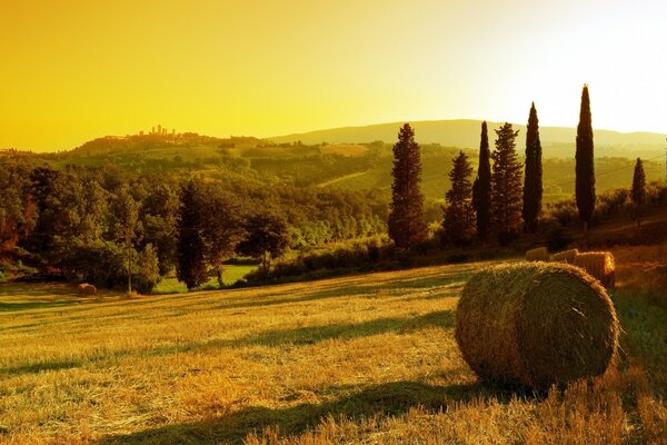 Paisaje. Heno. Puesta de sol en la naturaleza