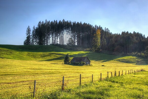 Schöne Landschaft inmitten des Waldes