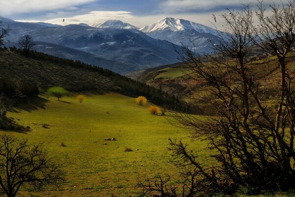 Champs verts sur fond de montagnes