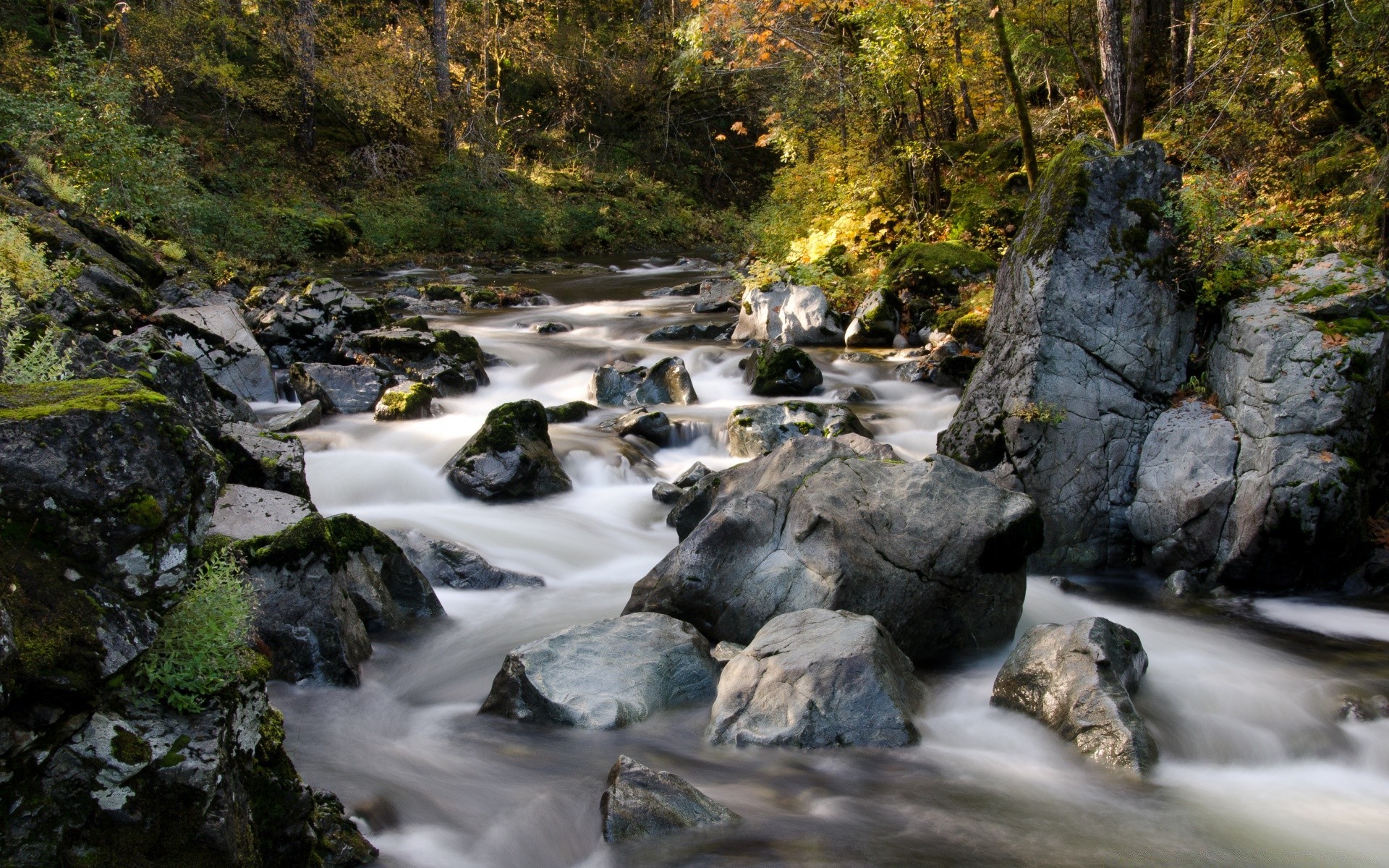 américa agua corriente río cascada roca corriente naturaleza cascada paisaje al aire libre movimiento madera otoño viajes grito árbol - rapids musgo hoja