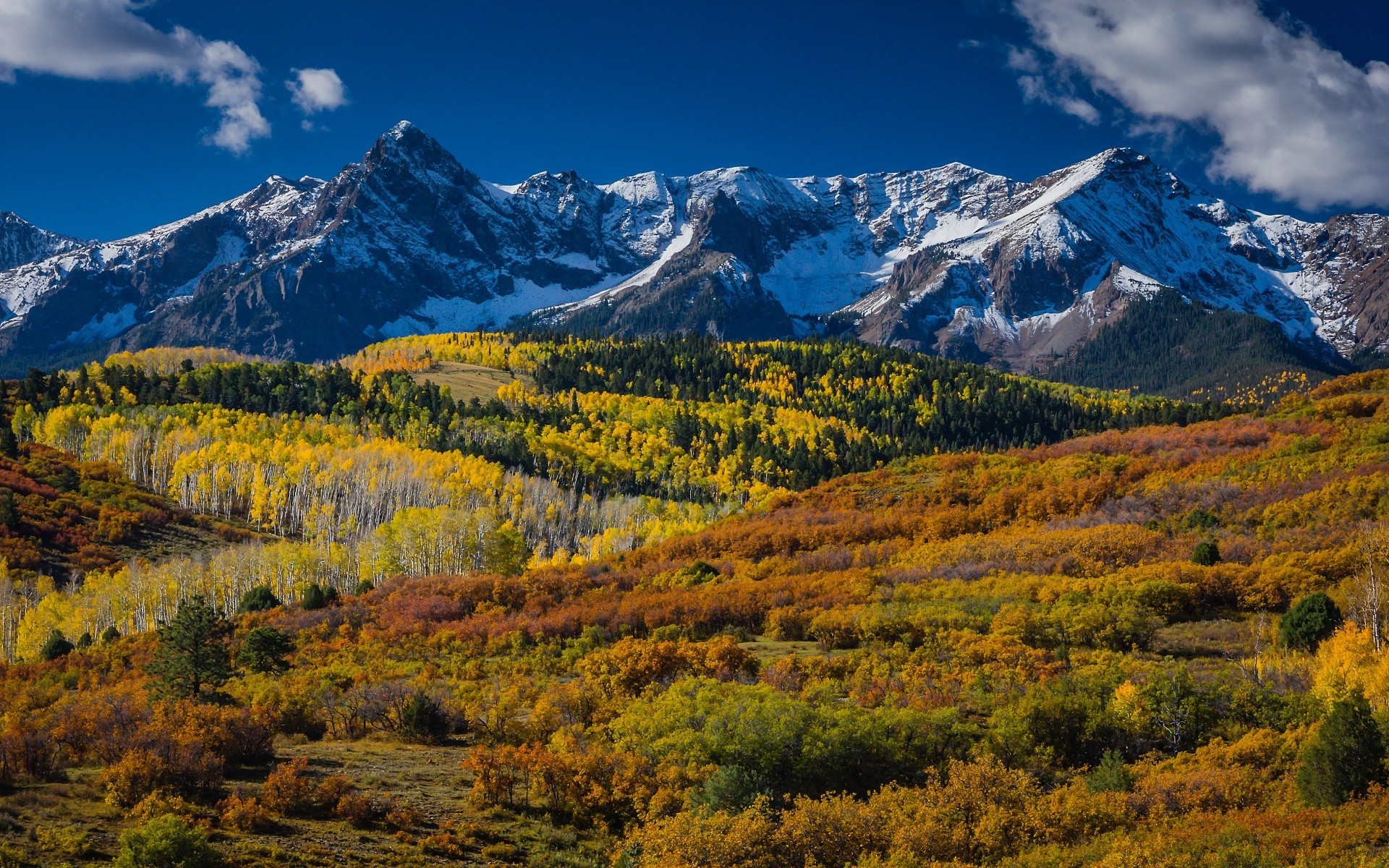 amerika berge landschaftlich schnee landschaft im freien natur reisen holz herbst himmel tageslicht tal