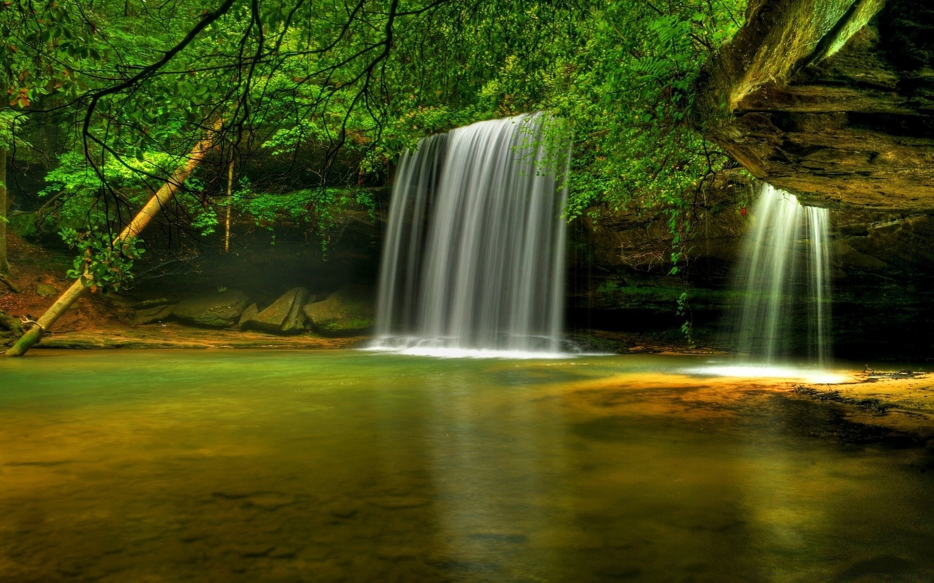 amérique eau cascade bois rivière nature automne feuille ruisseau à l extérieur cascade arbre voyage trafic paysage photographie humide ruisseau parc ruisseau