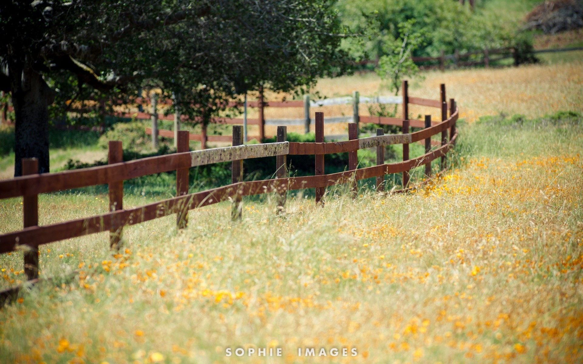 américa naturaleza cerca al aire libre hierba madera paisaje verano otoño granja rural árbol campo campo flora temporada agua heno agricultura