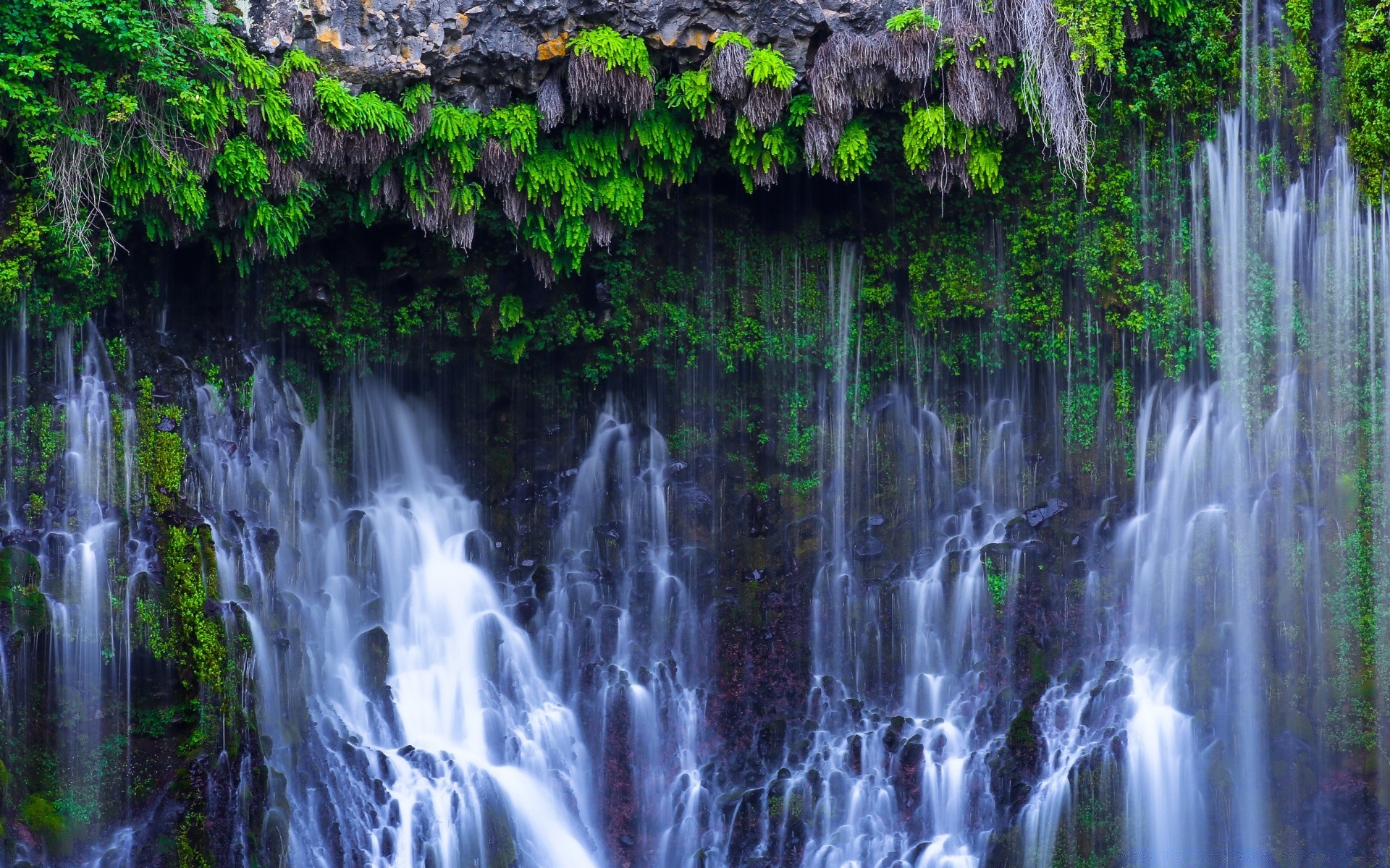 amérique cascade eau nature flux feuille cascade bois humide rivière flux flore à l extérieur automne tropical parc trafic paysage jungle splash