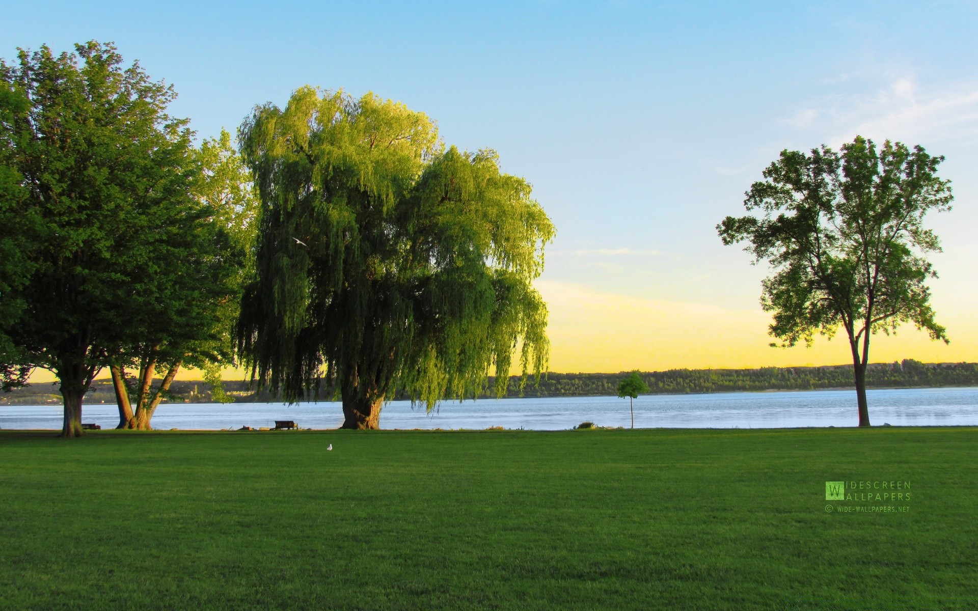 américa árbol paisaje hierba escénico parque luz del día verano al aire libre naturaleza césped medio ambiente lago agua cielo golf idilio madera buen tiempo