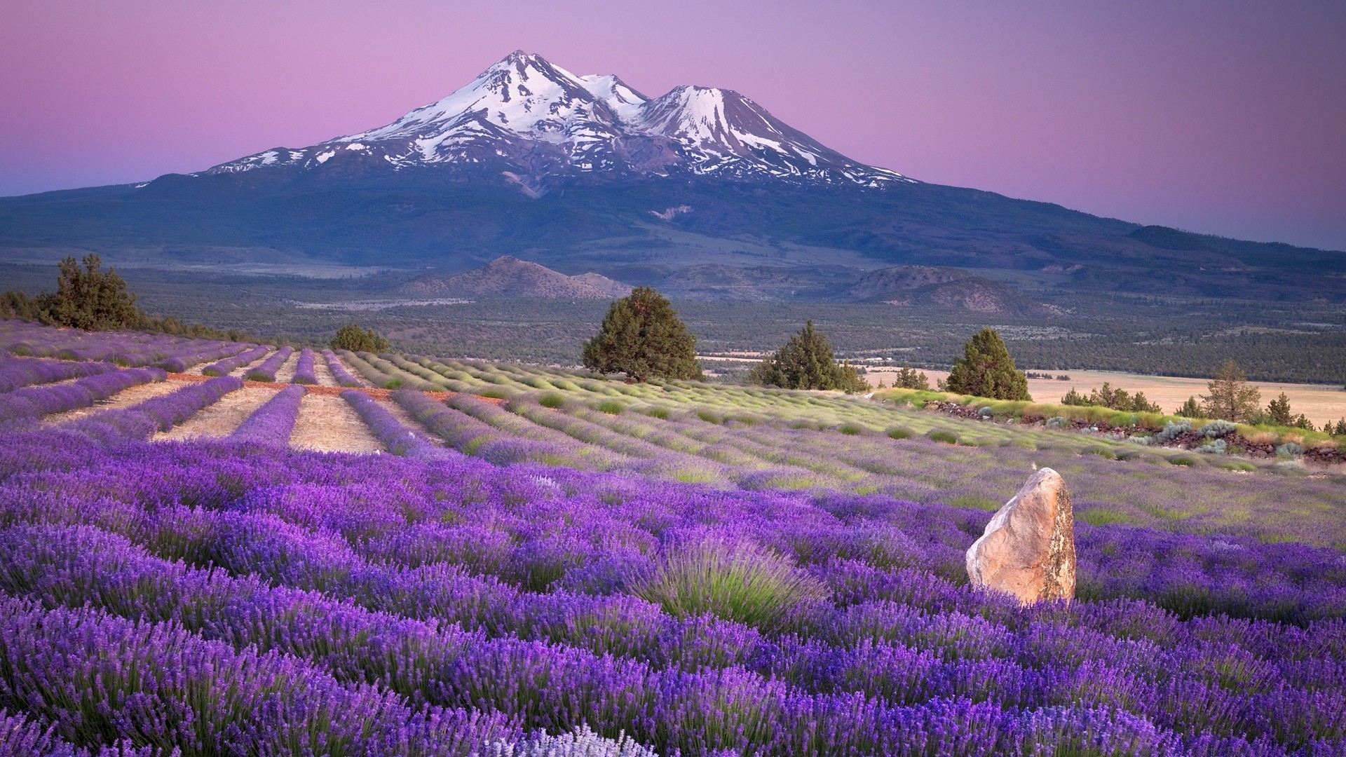 america landscape nature outdoors flower scenic mountain sky travel field