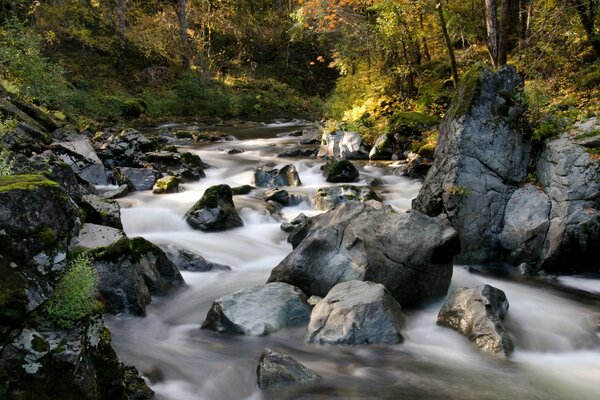 Cascata nella foresta d autunno immagine