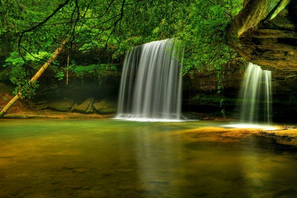 The waterfall is hidden by a dense canopy of trees