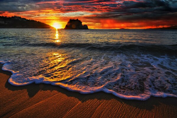 Bella alba sulla spiaggia vicino all acqua