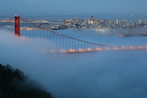 Luces del puente colgante en la niebla