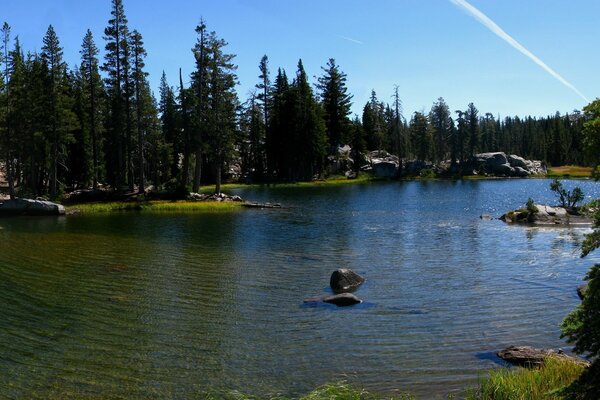 Crystal clear lake in the park
