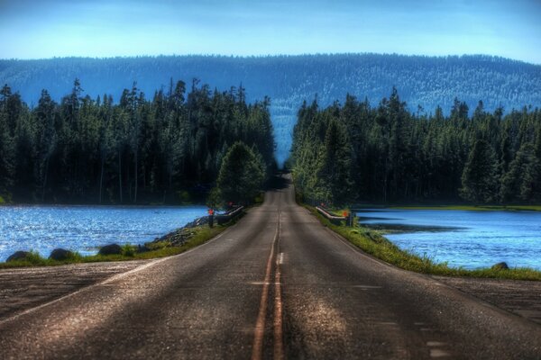 जंगल की सड़क। दो झीलों के बीच