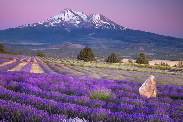 Nature in the open air is pleasant to look at, a great landscape!