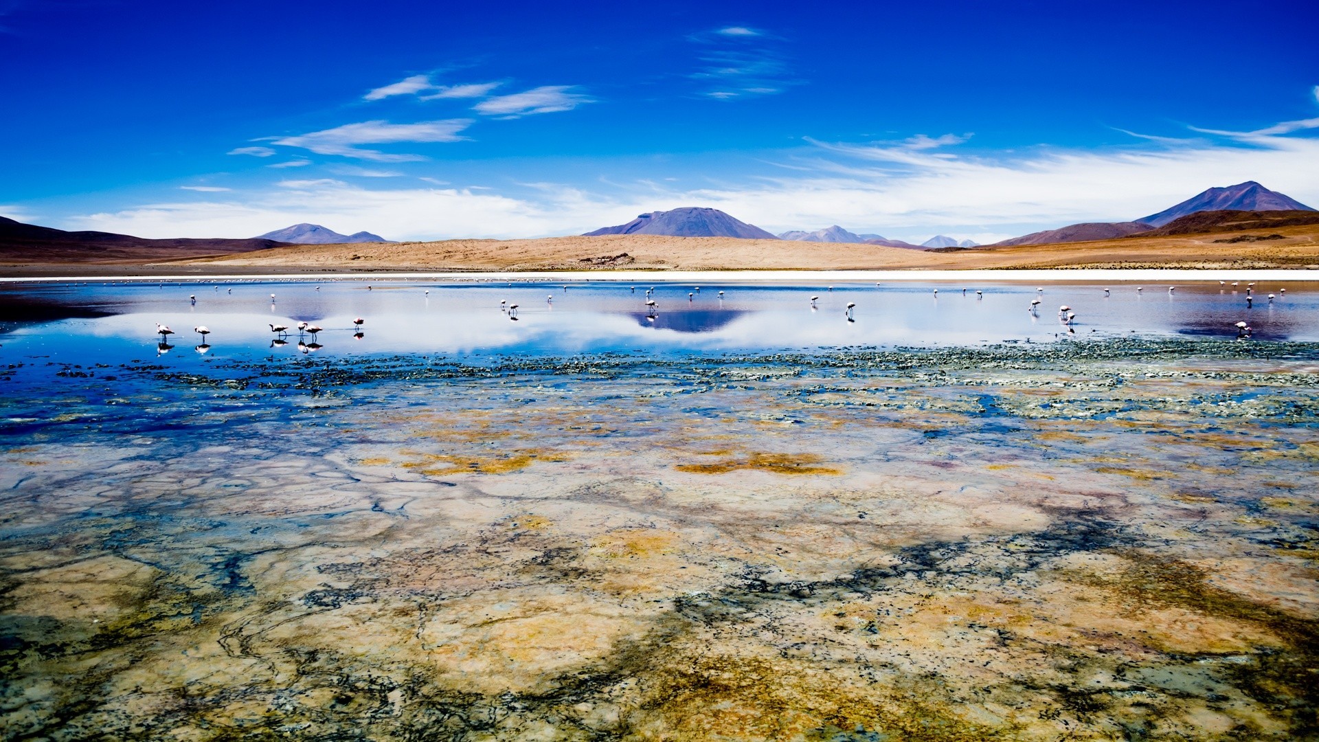 amerika wasser landschaft reisen strand himmel natur meer meer sommer ozean insel landschaft urlaub sand gutes wetter landschaftlich sonne wolke küste