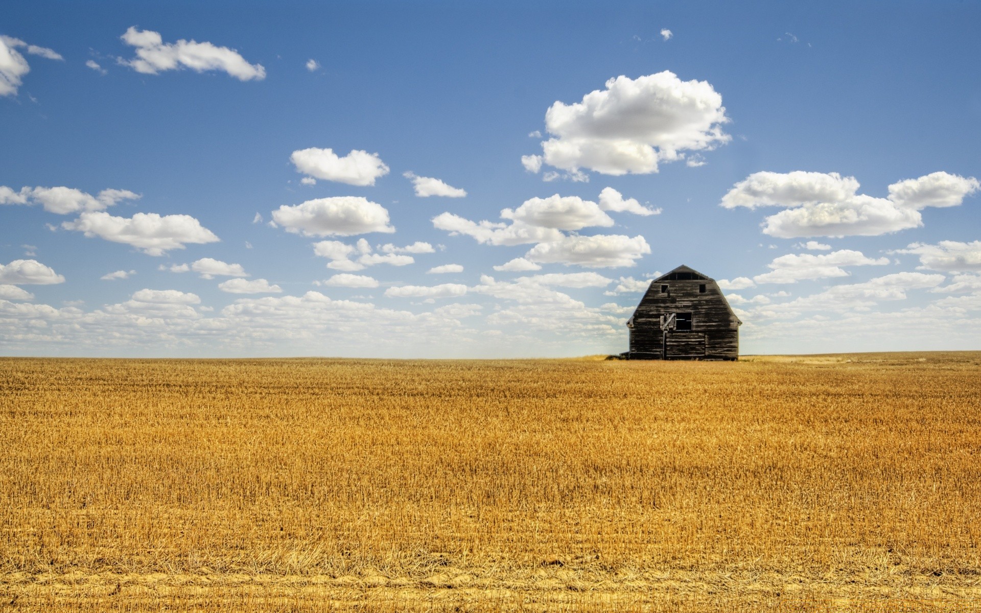 américa trigo agricultura paisagem fazenda campo colheita rural flocos céu campo terra cultivada ao ar livre pasto luz do dia milho palha seco país natureza