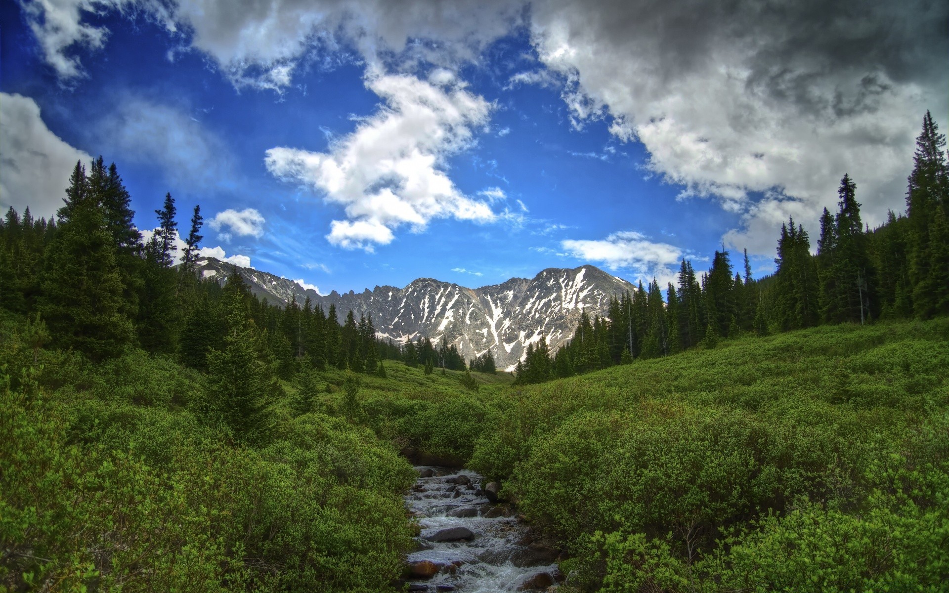 america montagna legno natura paesaggio all aperto viaggi scenic cielo albero valle luce del giorno conifere selvaggio acqua