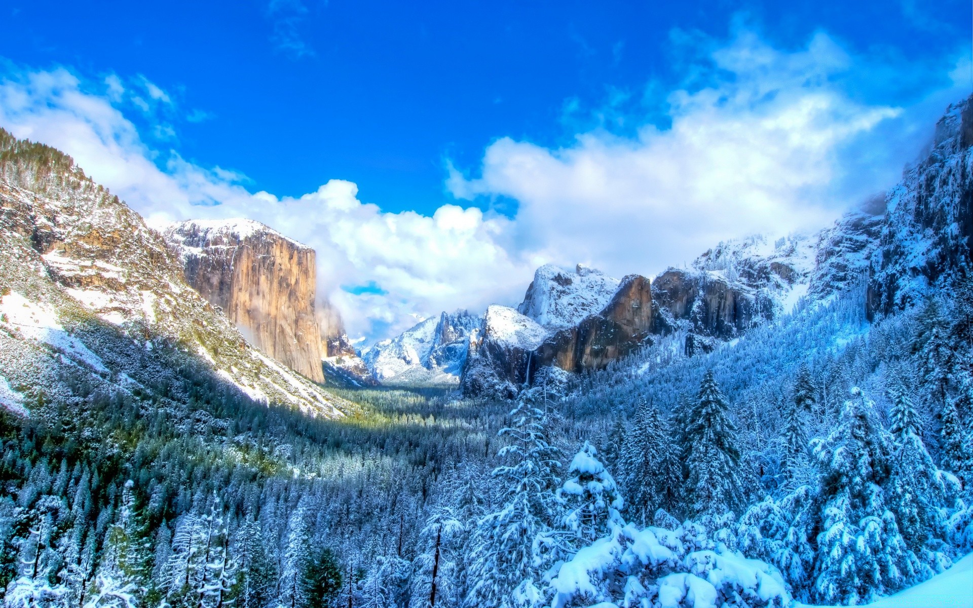 amerika schnee natur berge winter landschaft kälte reisen himmel landschaftlich eis holz saison berggipfel hoch im freien schön spektakel