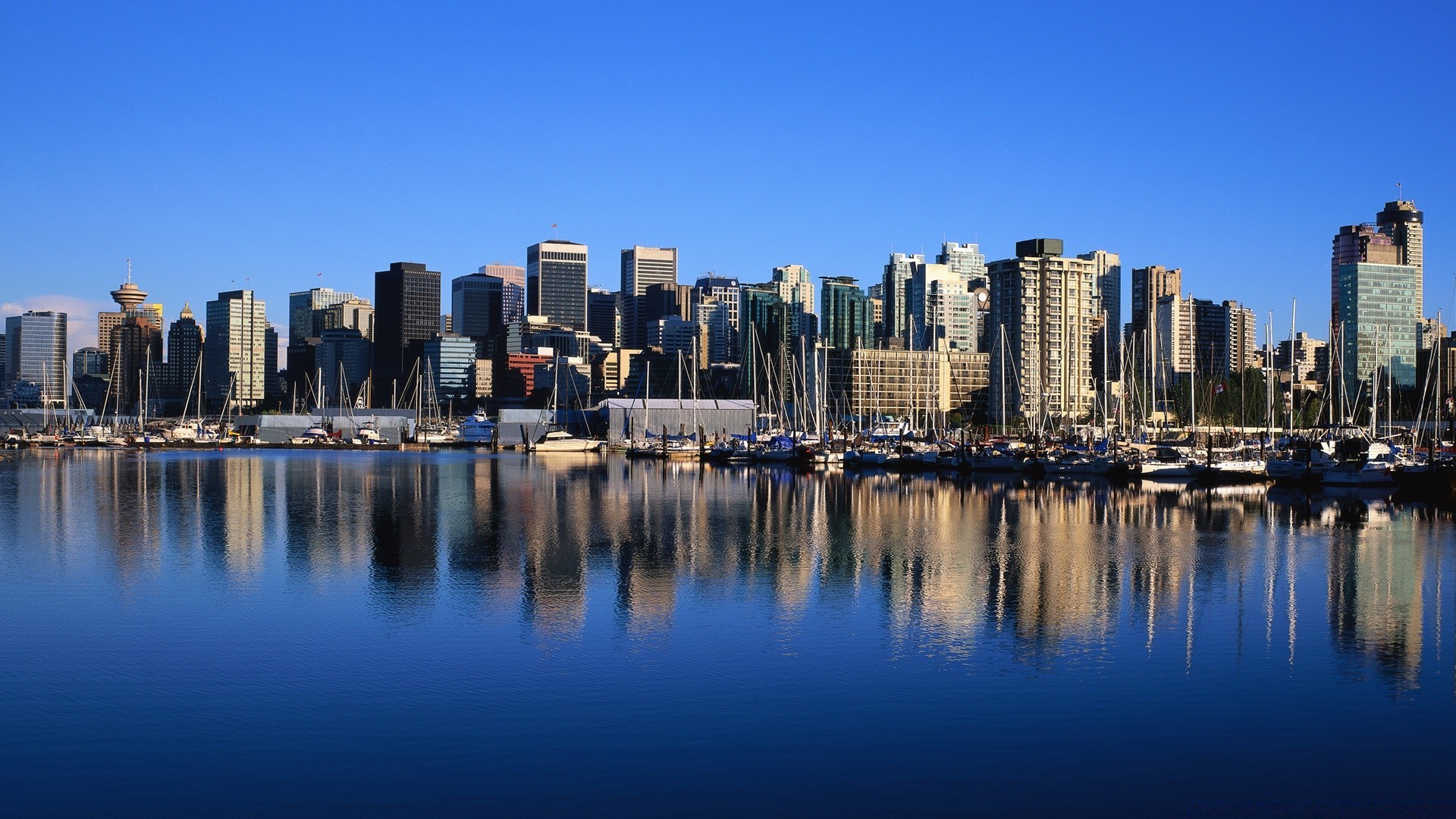 america skyscraper city skyline downtown cityscape architecture office waterfront reflection water building harbor business travel sky dusk modern pier finance