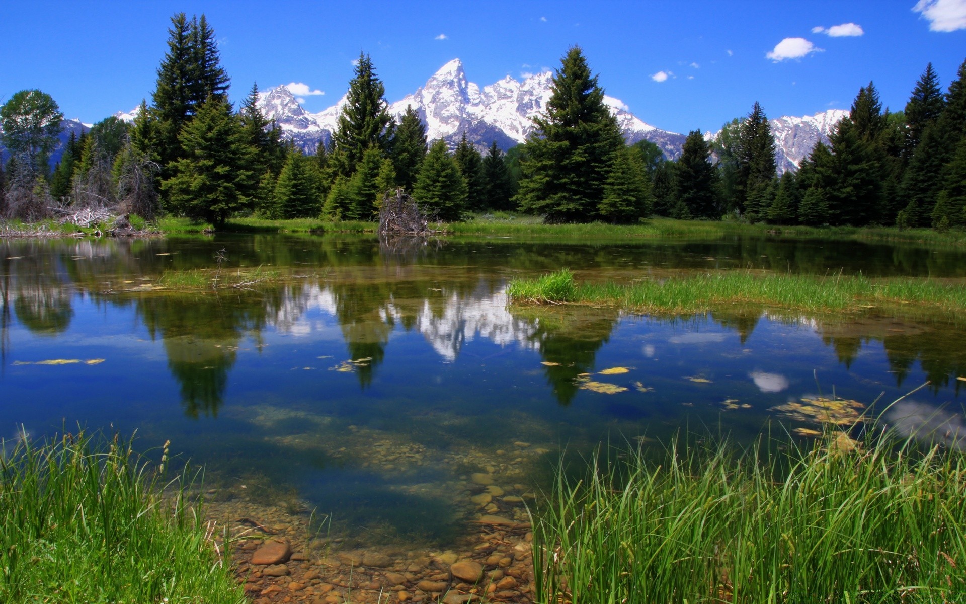 amérique lac réflexion eau nature paysage en plein air scénique bois piscine bois herbe sang-froid ciel été montagnes idylle rivière lumière du jour voyage