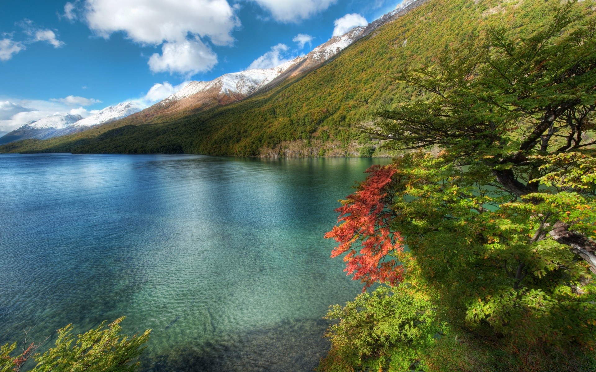 amérique eau paysage nature voyage montagnes lac à l extérieur bois bois scénique automne rivière ciel lumière du jour réflexion feuille