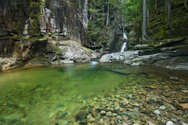 A bridge over a small waterfall in the forest