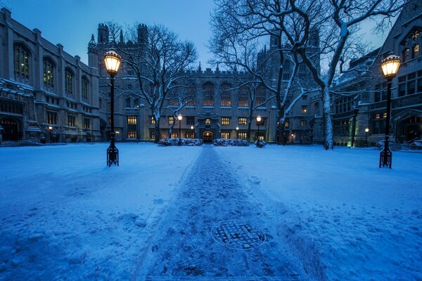 Photo university yard in winter