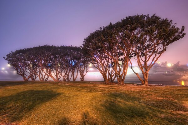 Paysage américain avec coucher de soleil et arbres