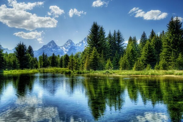 Natura di montagna vicino al lago