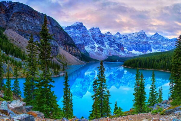 A picture of a blue mountain lake with a forest