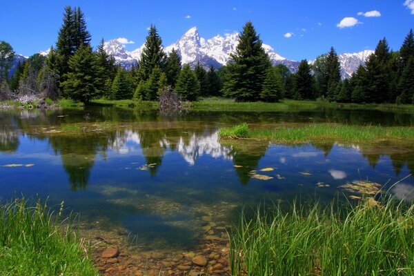 Landschaft Waldsee und Berge