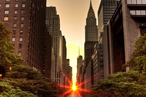 Skyscrapers in the center of the residential area