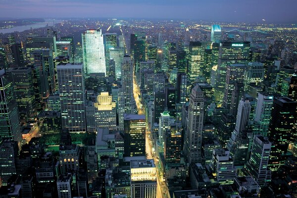 Skyscrapers of America at night