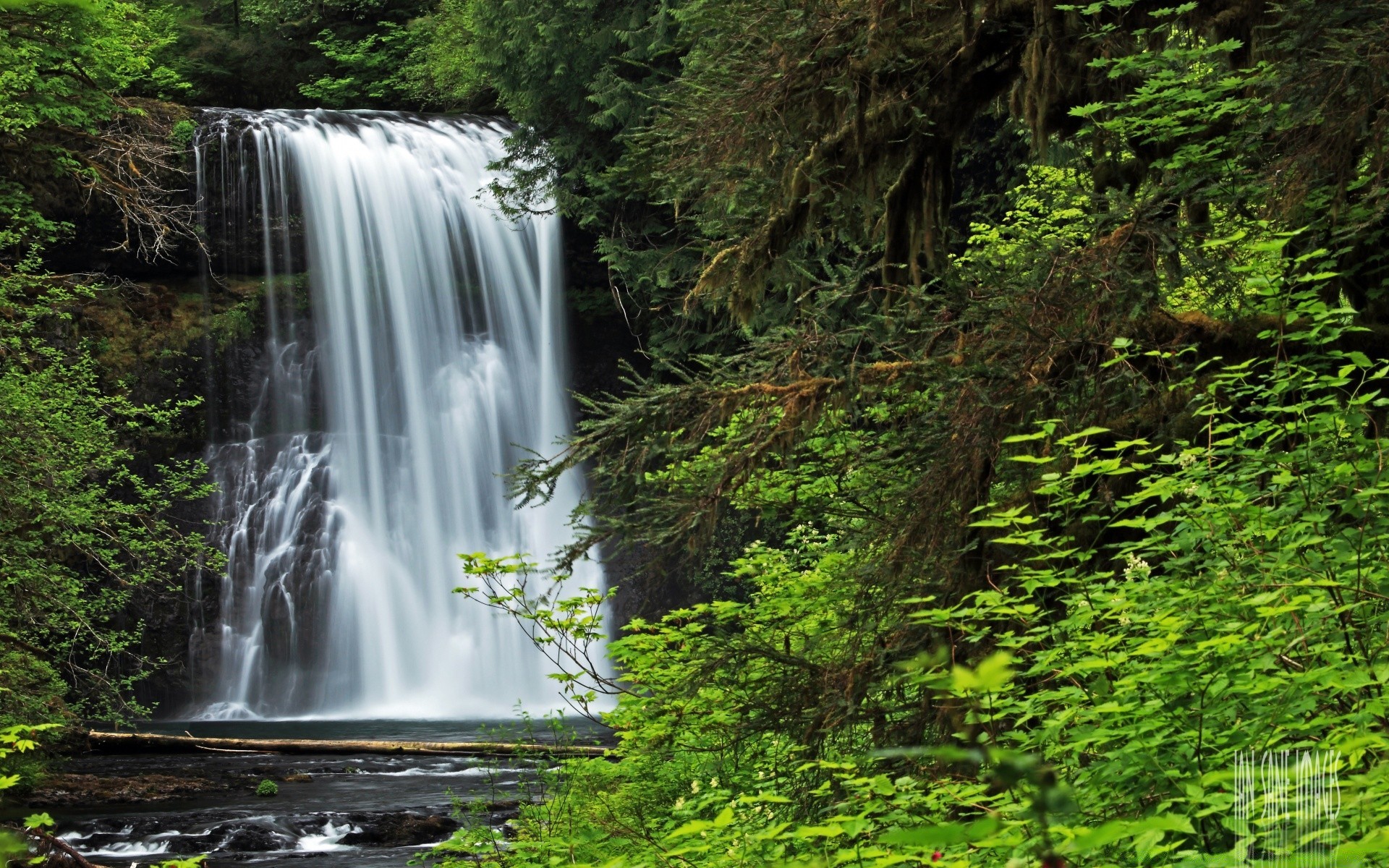 america waterfall water nature stream wood river outdoors leaf cascade travel wet landscape rock flow fall tree moss wild summer