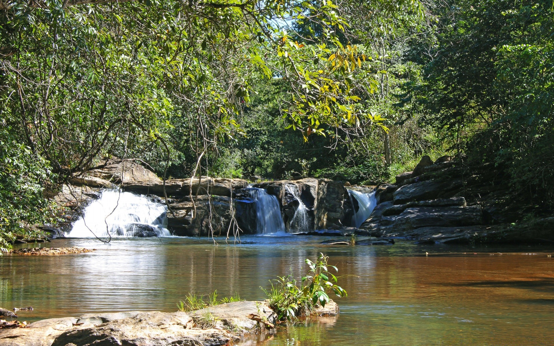 america acqua natura fiume legno paesaggio flusso albero foglia ambiente riflessione viaggi all aperto estate selvaggio parco lago flusso