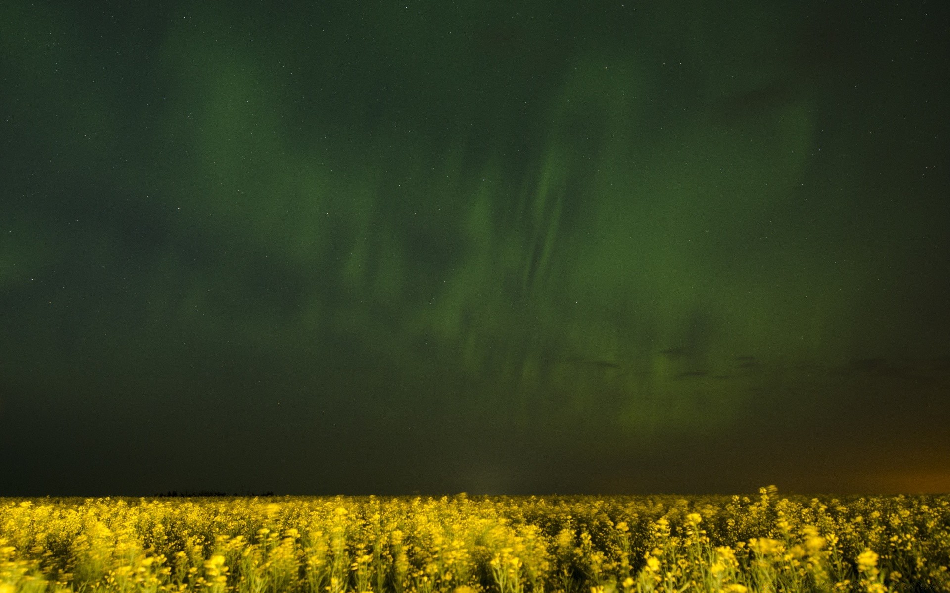 amerika landschaft natur feld des ländlichen sonne blume himmel landwirtschaft licht bauernhof gutes wetter gras dämmerung sommer im freien landschaft flora unschärfe sonnenuntergang