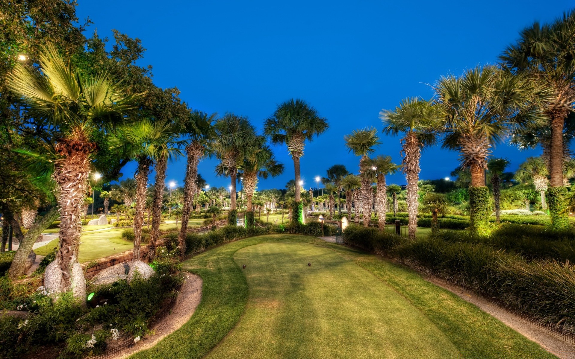 america tree travel outdoors palm architecture grass daylight sky tropical summer building nature vacation garden old ancient