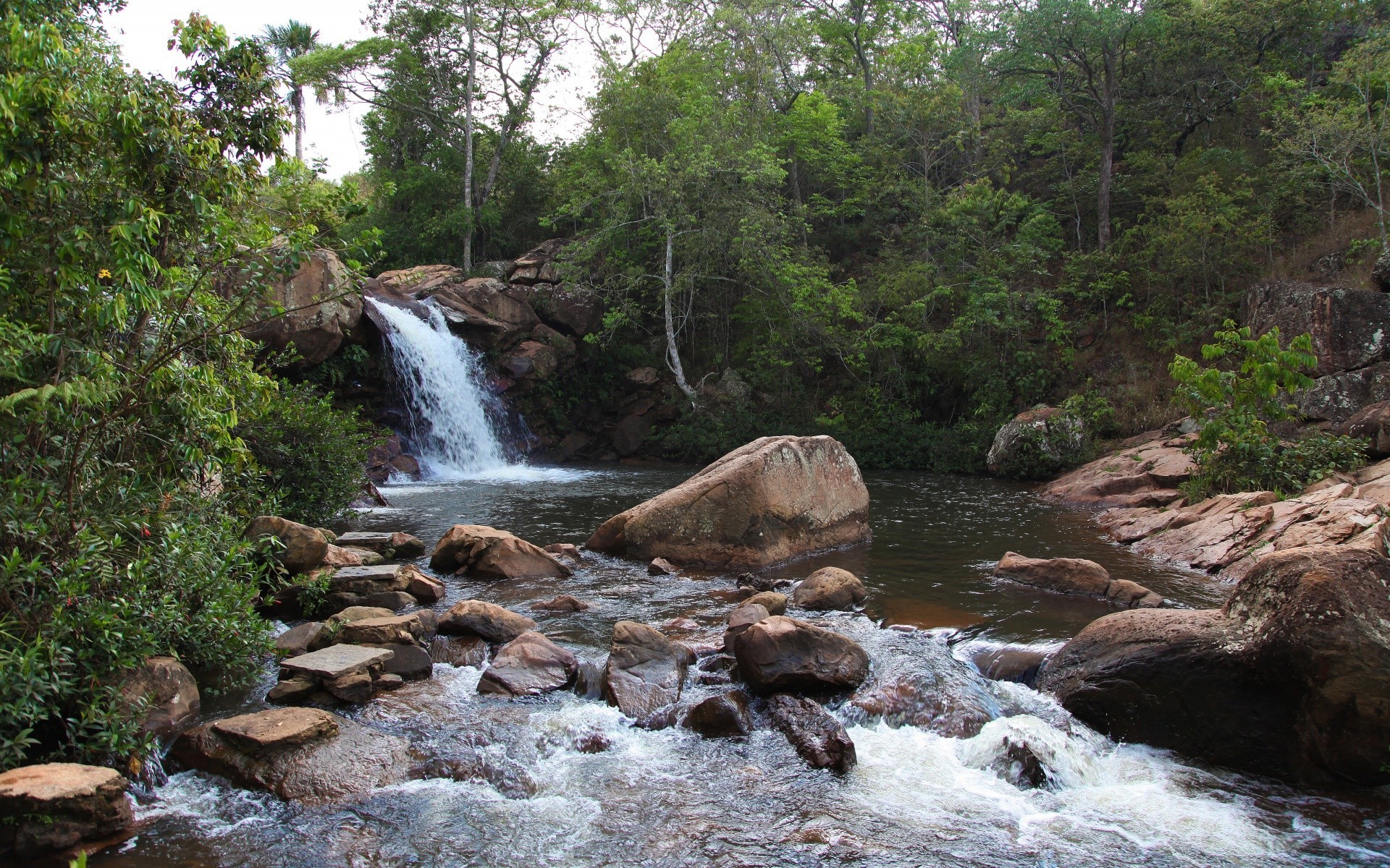 america water stream river waterfall nature wood rock travel landscape outdoors tree cascade creek flow leaf motion stone environment wet