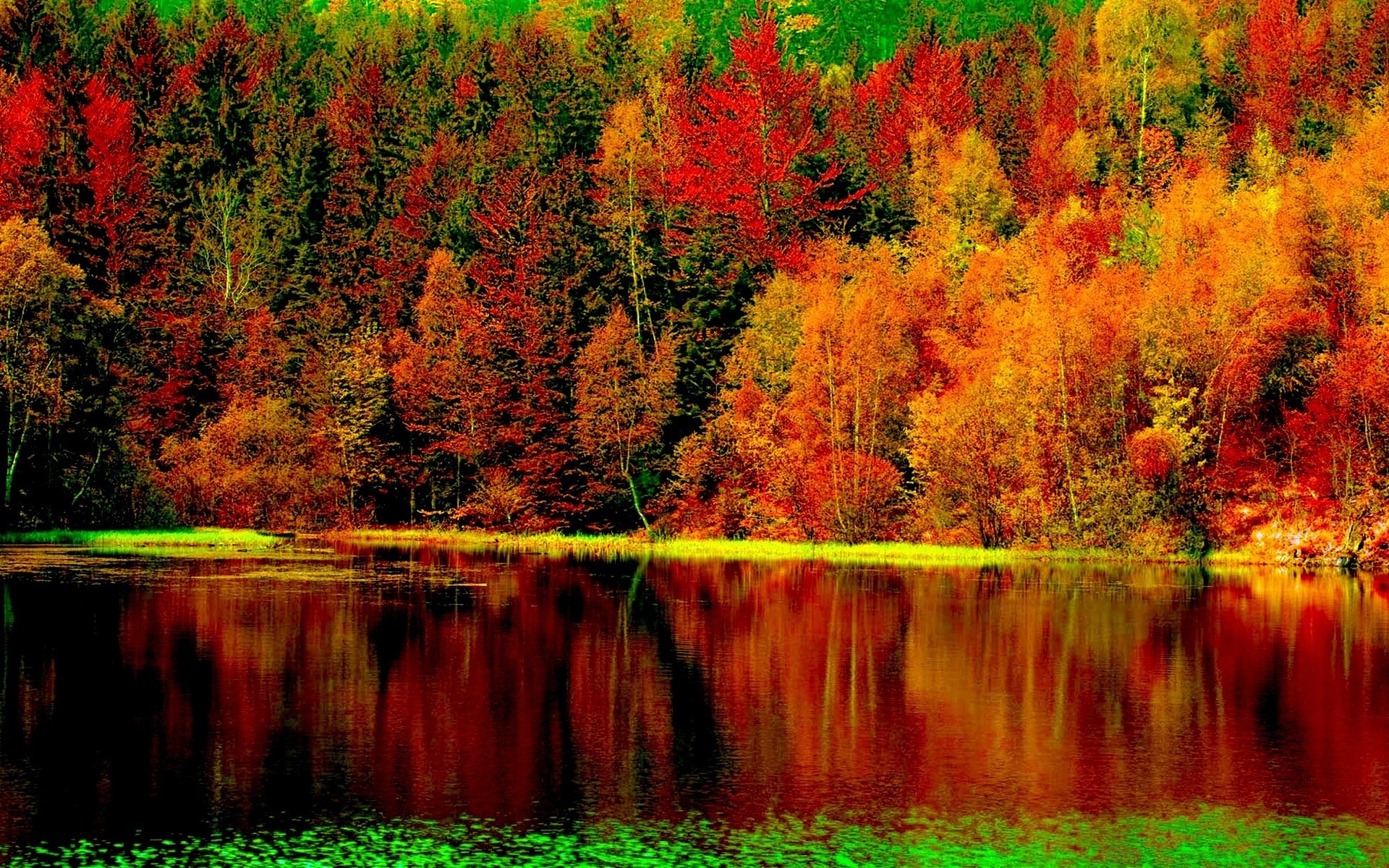 america fall tree wood nature leaf landscape lake scenic water outdoors season river park scenery color wild