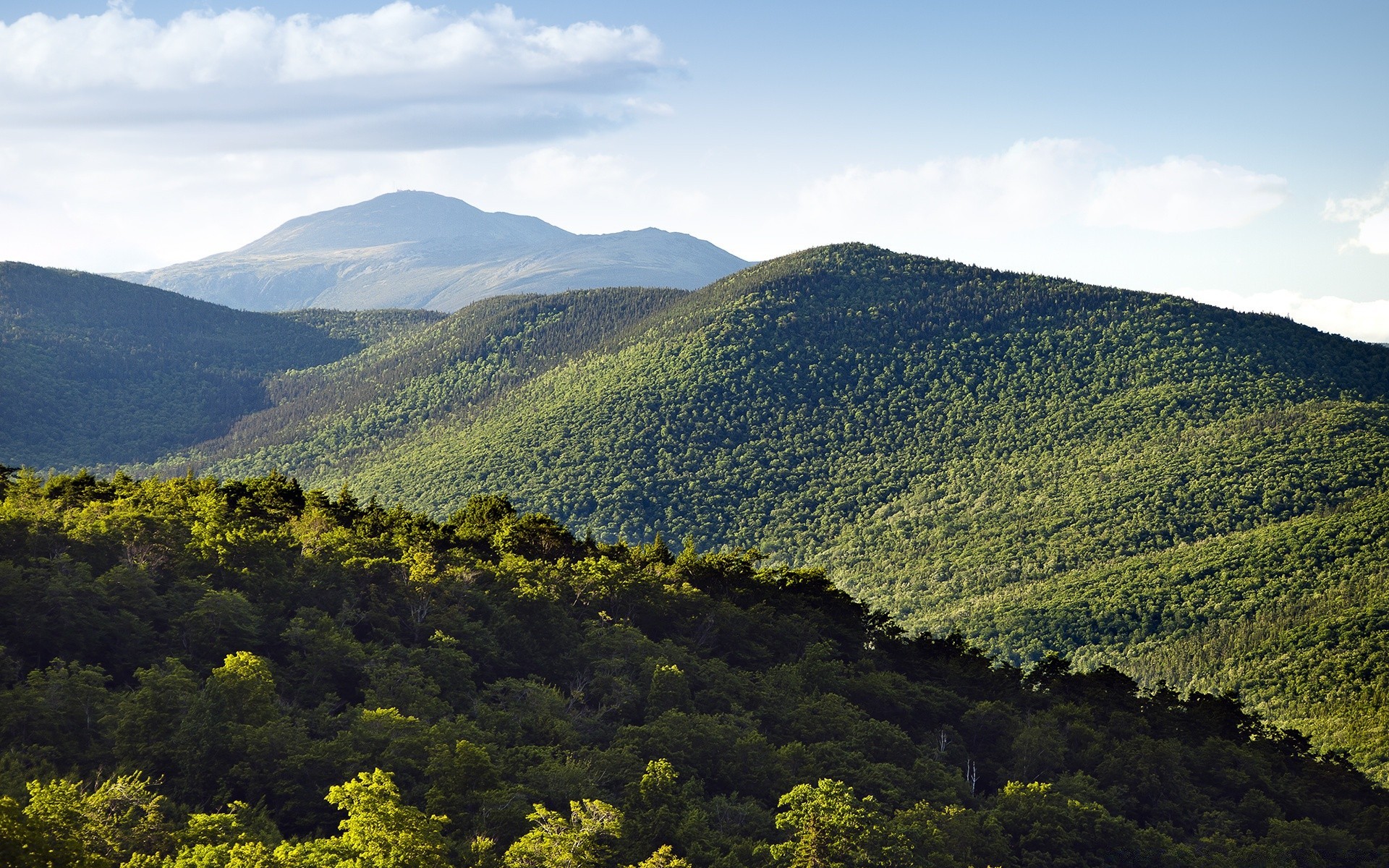 america landscape mountain travel wood nature outdoors tree hill sky cropland valley scenic daylight