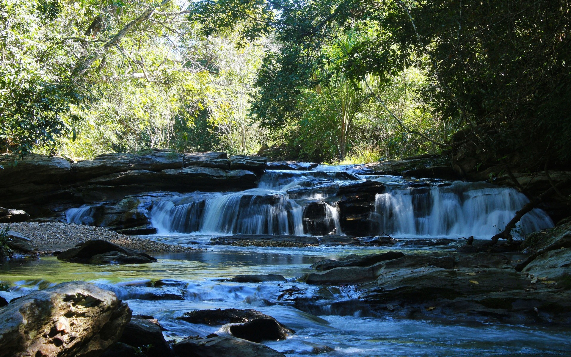 america acqua cascata fiume flusso natura legno movimento cascata flusso roccia creek paesaggio bagnato all aperto foglia viaggio autunno selvaggio splash