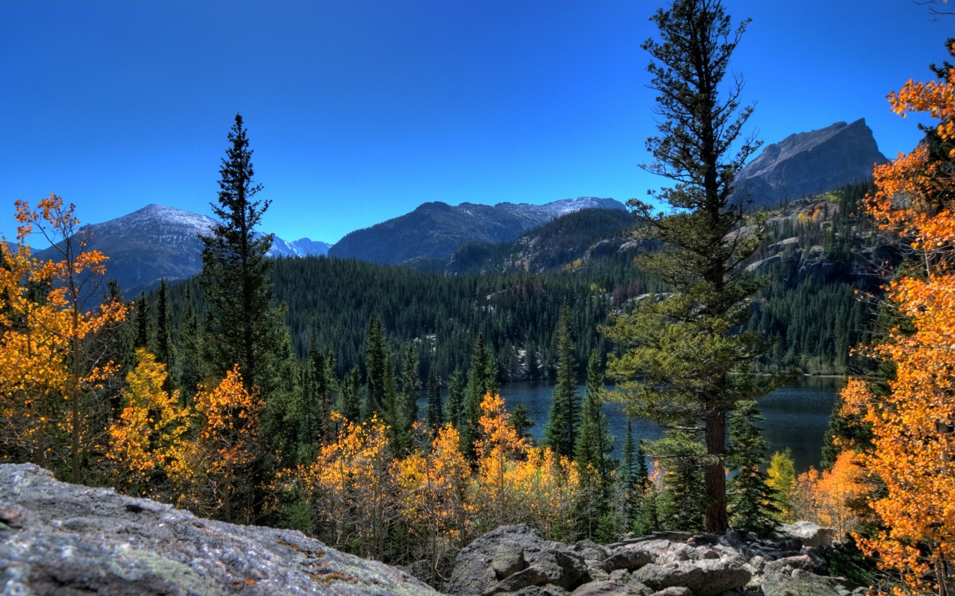 america autunno legno all aperto natura montagna albero paesaggio panoramico foglia selvaggio viaggi conifere luce del giorno evergreen neve cielo stagione trekking parco