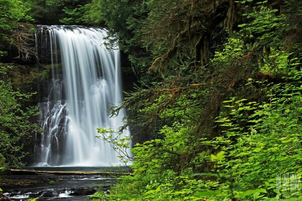 A waterfall of magical beauty in the thicket of the forest