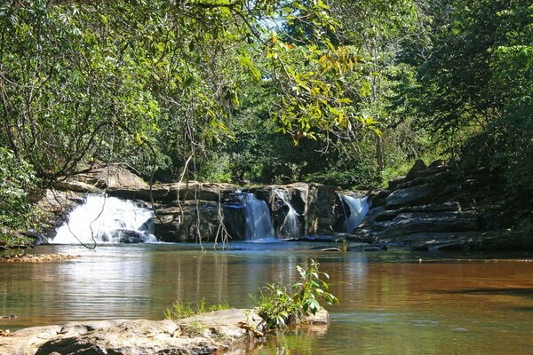 В Америке очень красивая природа, много рек и воды