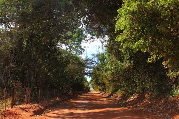 Una lunga strada che porta all avventura