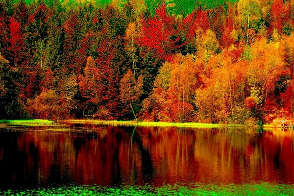 Crimson autumn forest reflected in the waters of the river