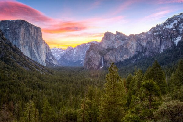 Forest landscape in the Rocky Mountains