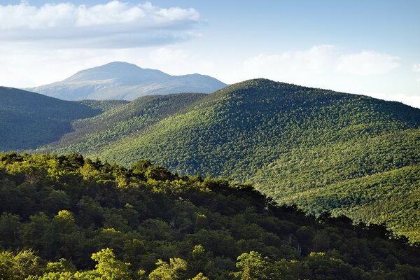 Montanhas cobertas de floresta verde